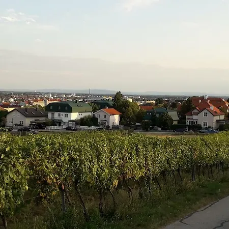 Charmantes Mit Balkon Zum Garten Nahe Wien Gumpoldskirchen